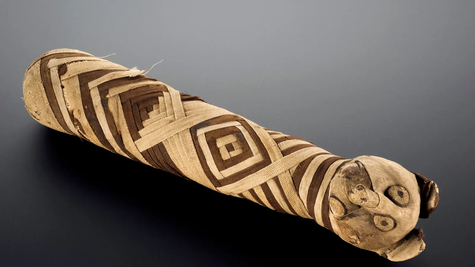Ancient Egyptian cat mummy wrapped in linen and decorated with feline features